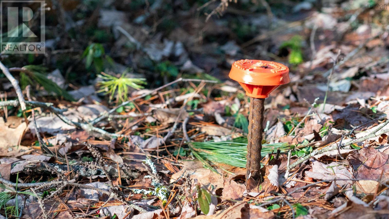 Property 17 of 26 of Lot 14 Maple Drive