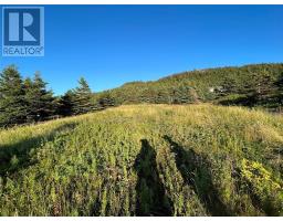 117 Cape Shore Highway thumbnail 3