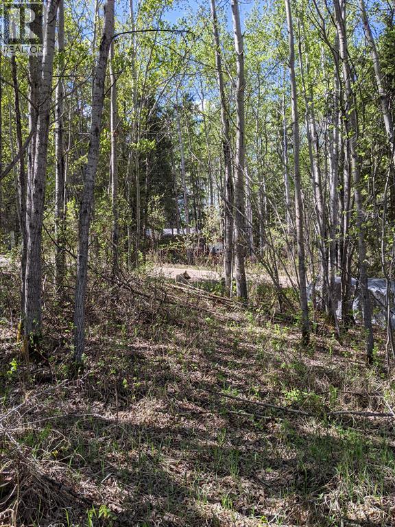 234, 15538 Old Trail - Photo 4 of 5, Plamondon, Alberta