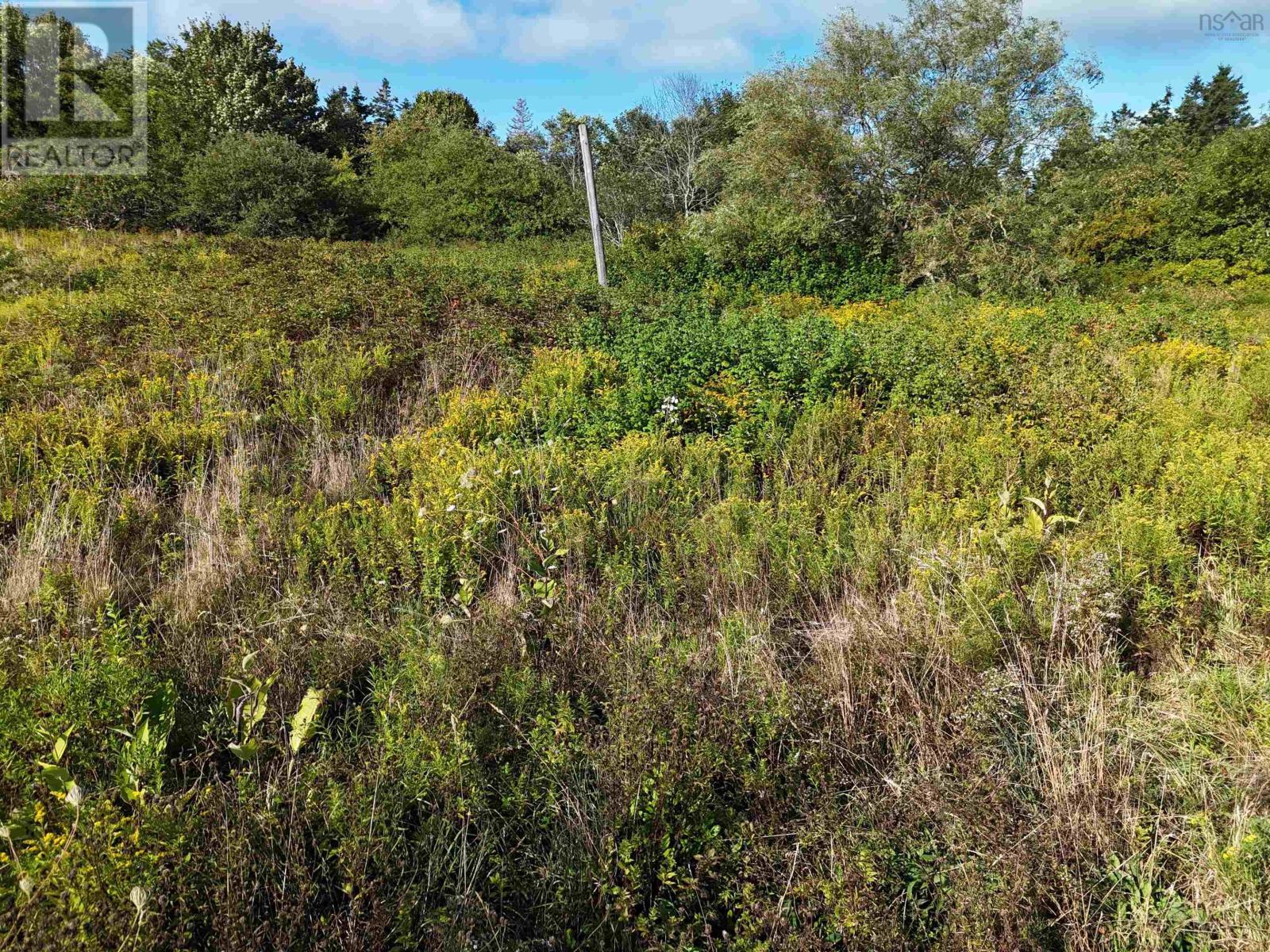 Property 12 of 14 of 1509 Highway 308