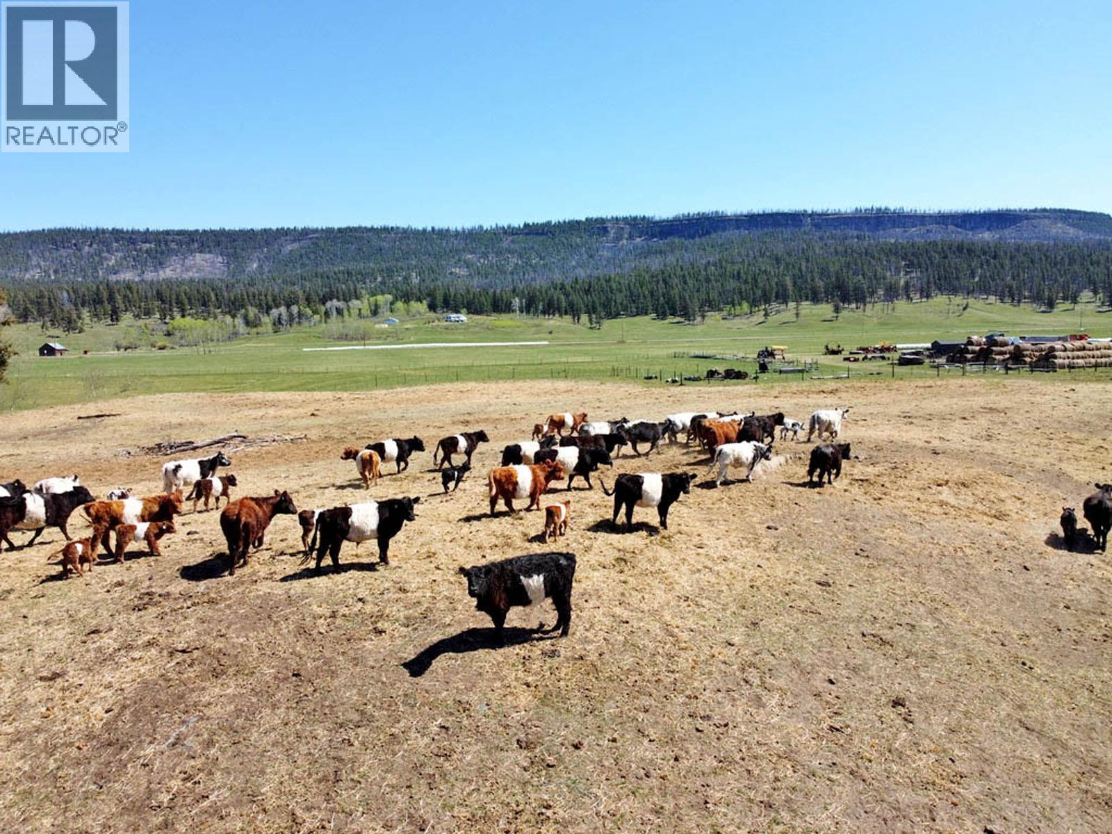 6547 CHILCOTIN 20 HIGHWAY - 11