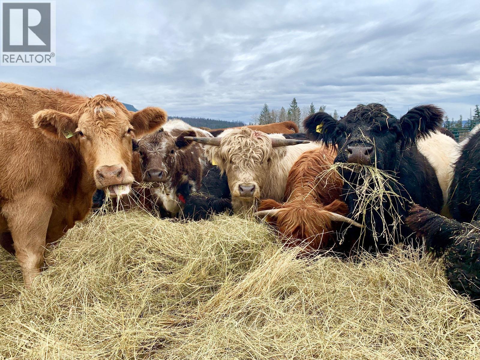 6547 CHILCOTIN 20 HIGHWAY - 18