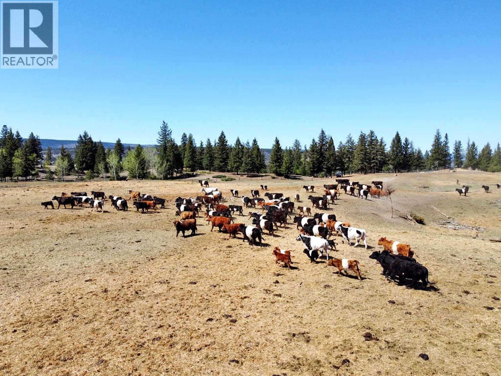 6547 CHILCOTIN 20 HIGHWAY - 14