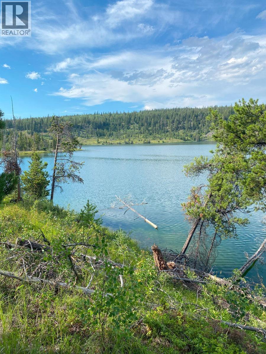 4800 ALEXIS CREEK - NAZKO ROAD, Williams Lake