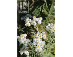 86-81 Owen Court, Campobello Island, NB E5E1Z6 Photo 6
