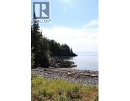 86-81 Owen Court, Campobello Island, NB E5E1Z6 Photo 13