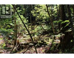 86-81 Owen Court, Campobello Island, NB E5E1Z6 Photo 11