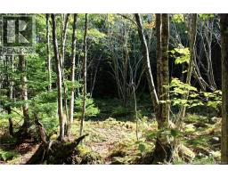 86-81 Owen Court, Campobello Island, NB E5E1Z6 Photo 8