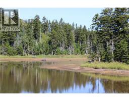 86-81 Owen Court, Campobello Island, NB E5E1Z6 Photo 19