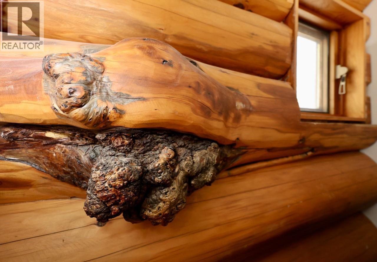 1445 BLACK BEAR DRIVE - 19