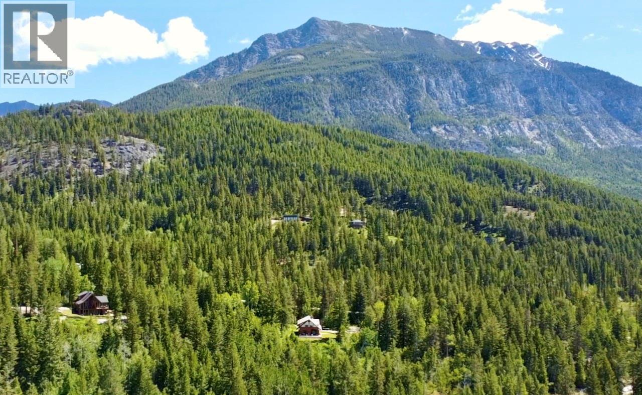 1445 BLACK BEAR DRIVE - 37