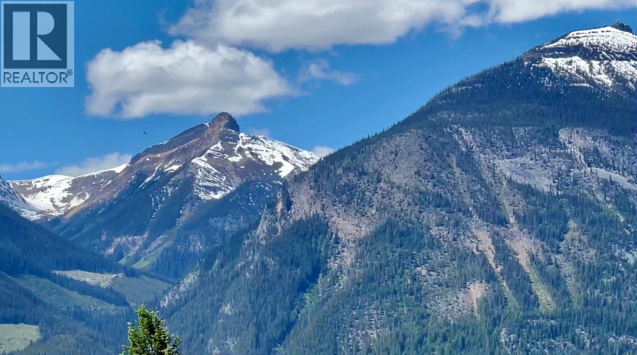 1445 BLACK BEAR DRIVE - 45