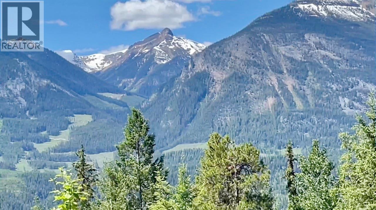 1445 BLACK BEAR DRIVE - 44