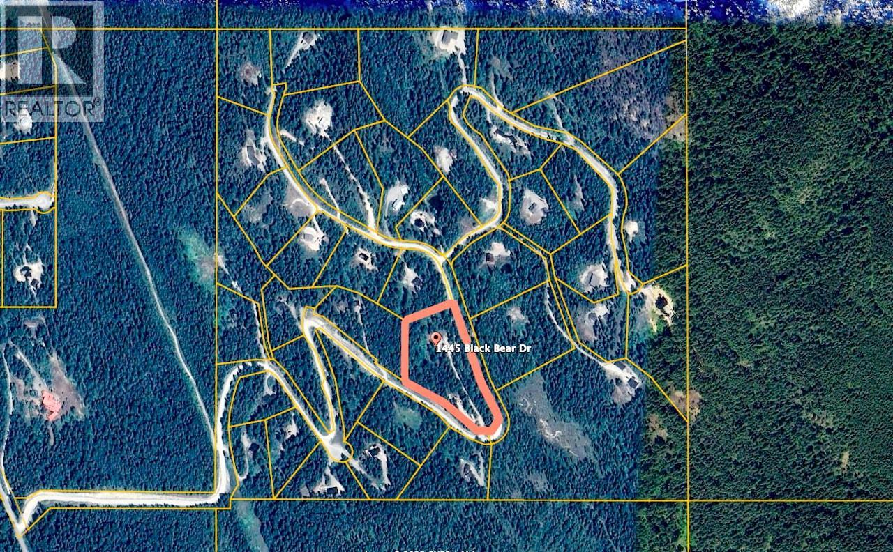 1445 BLACK BEAR DRIVE - 47