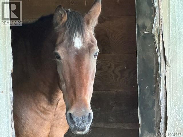 3744 GIBBINS RD - 46