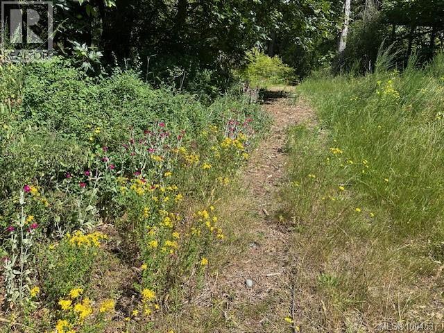 3744 GIBBINS RD - 61