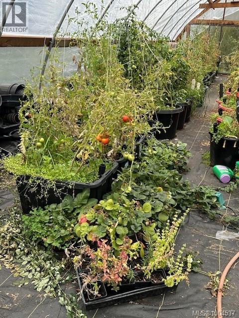 3744 GIBBINS RD - 55