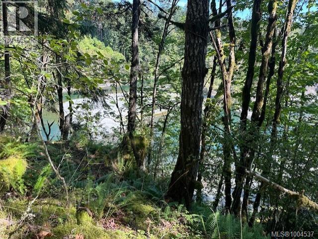 3744 GIBBINS RD - 52