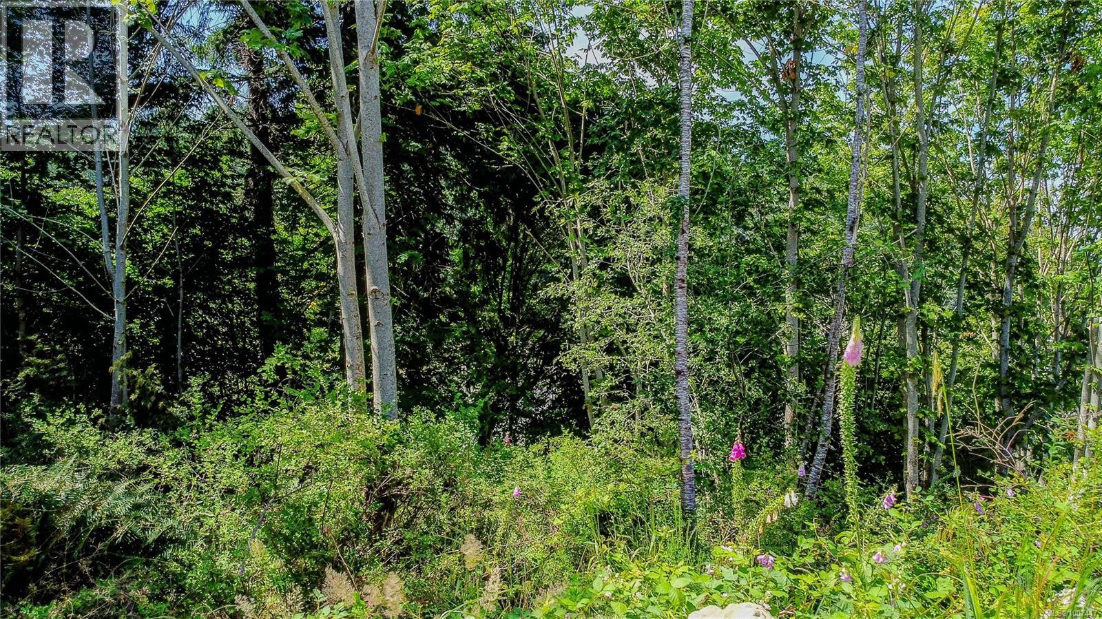 683 Green Rd, Quadra Island