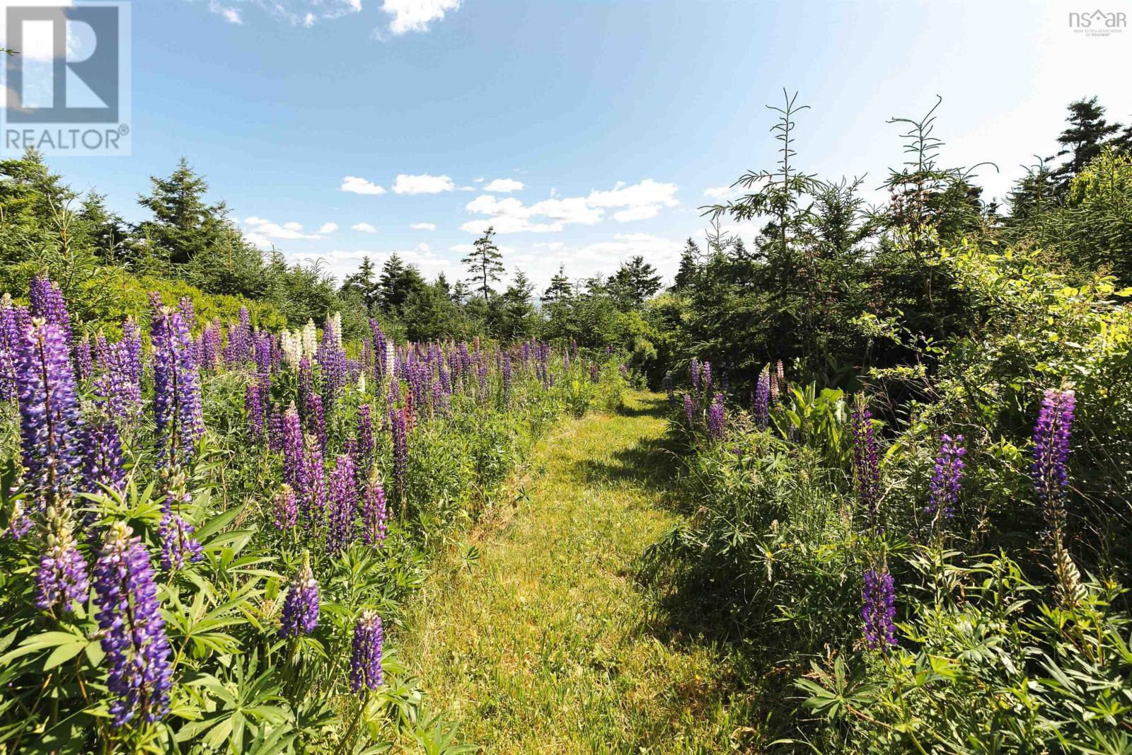 Photo 28 of 664 Ketch Harbour Road, Portuguese Cove NS