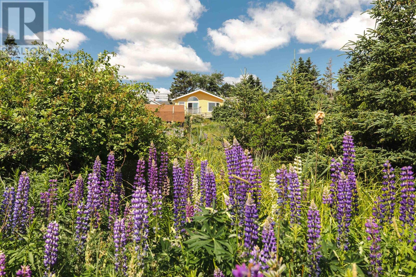 Photo 30 of 664 Ketch Harbour Road, Portuguese Cove NS