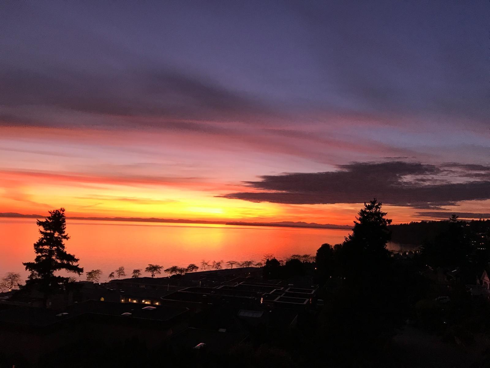 402 15025 VICTORIA AVENUE, White Rock