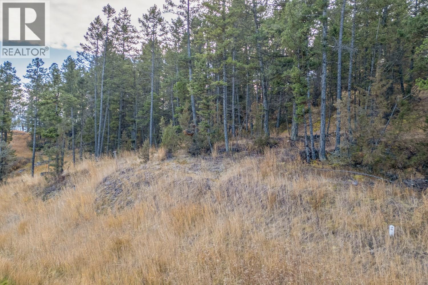 LOT 24 VALLEY VISTA Way, Fairmont Hot Springs