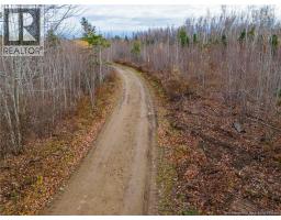 Lot Renauds Mills Road, Saint Antoine, NB E4V2X7 Photo 6