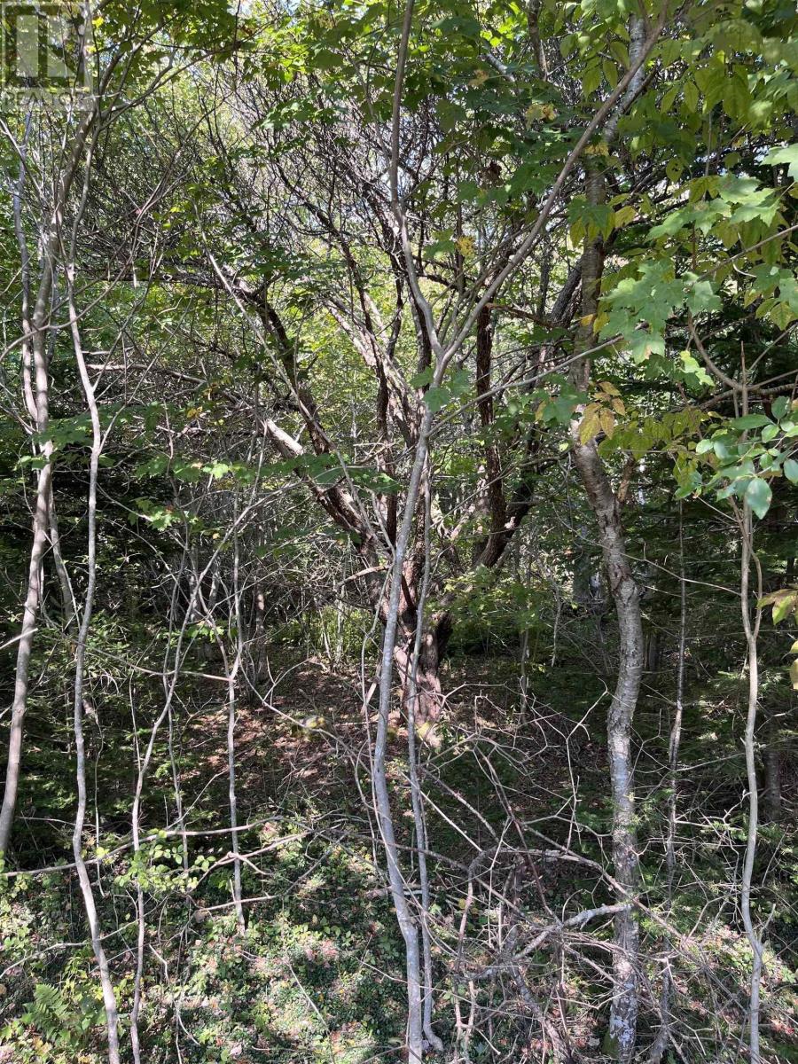 Property 19 of 22 of Lot 340 Highway