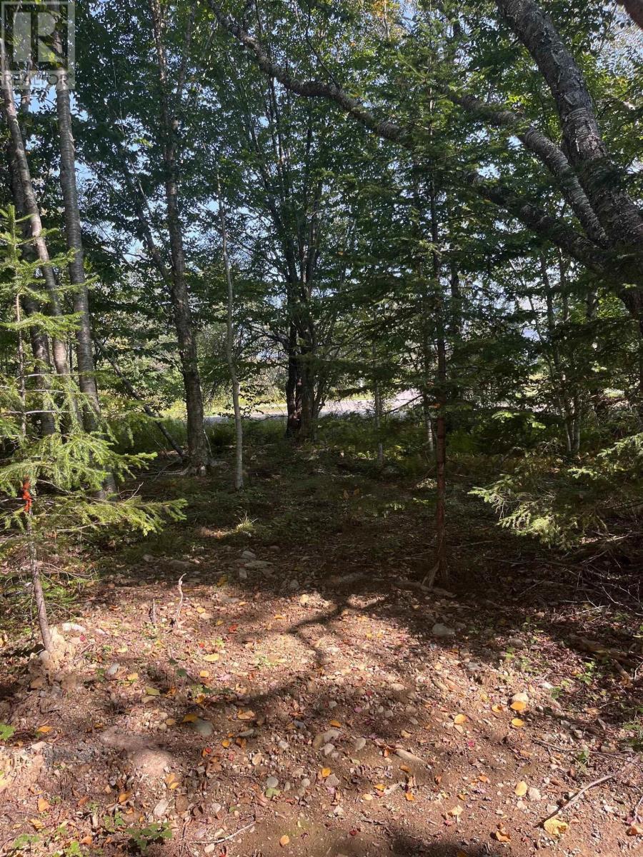 Property 4 of 22 of Lot 340 Highway