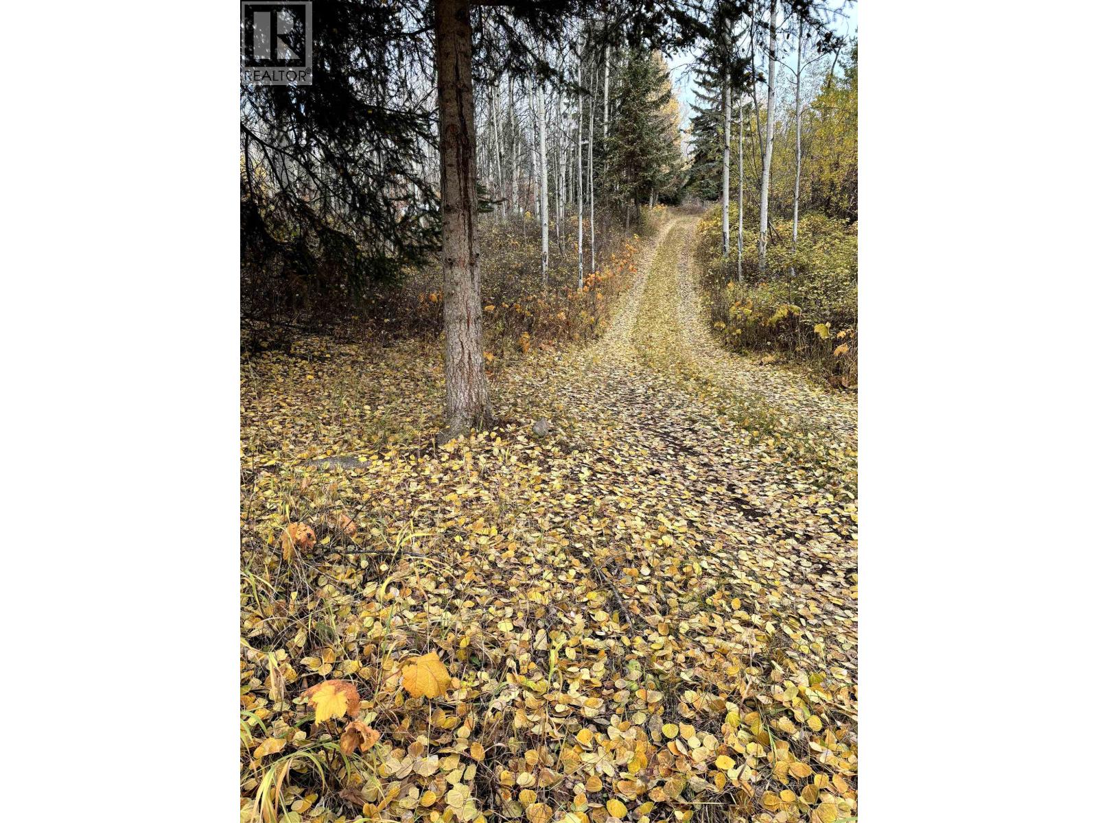 9410 ADAMS Road, Smithers
