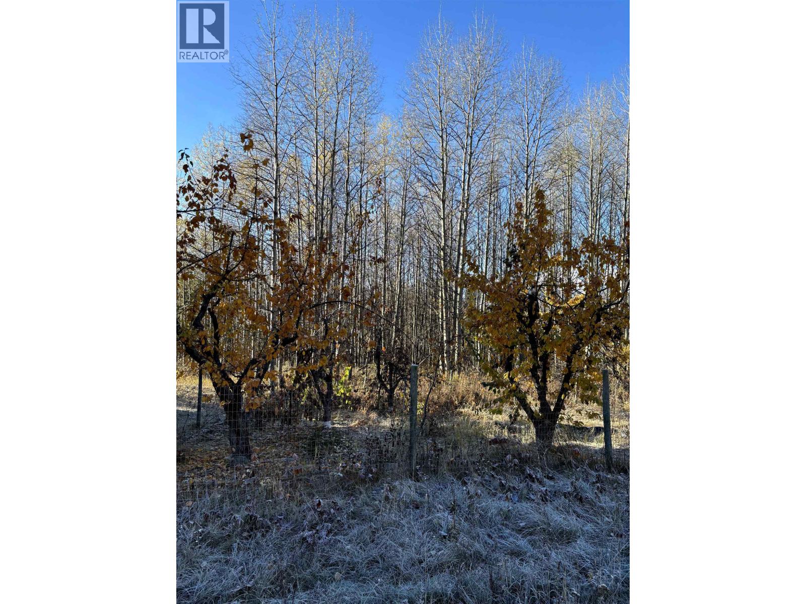 9410 ADAMS Road, Smithers