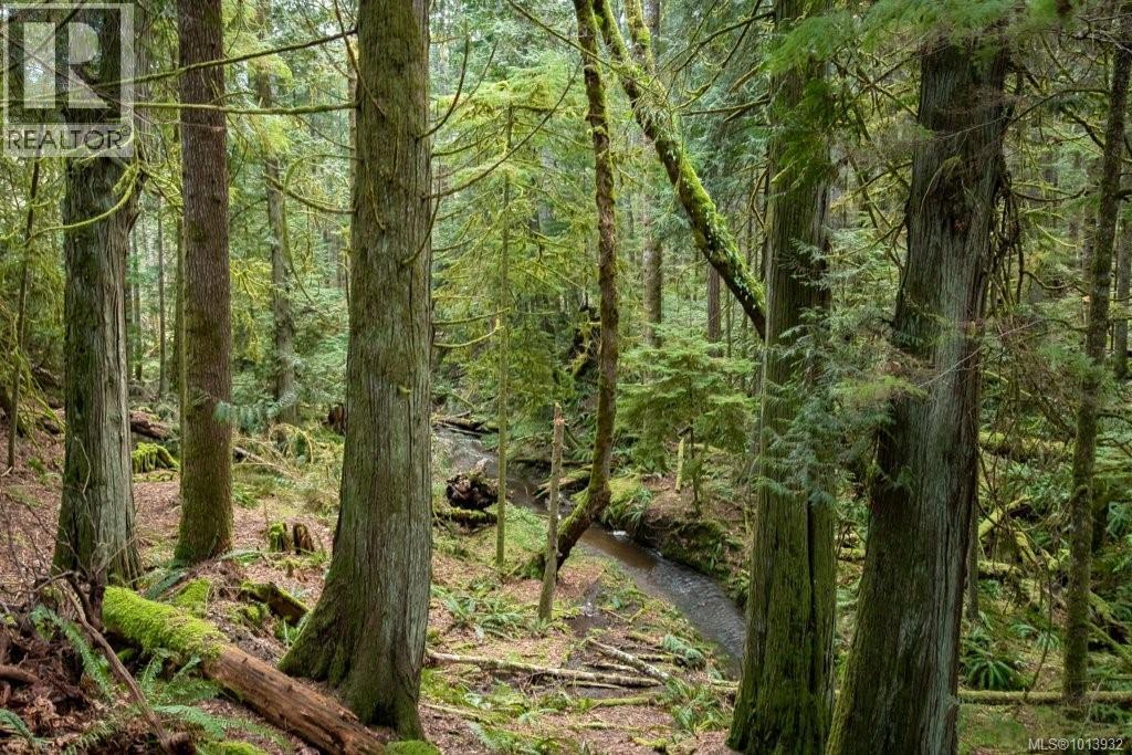 9000 Rayelyn Lane, Denman Island