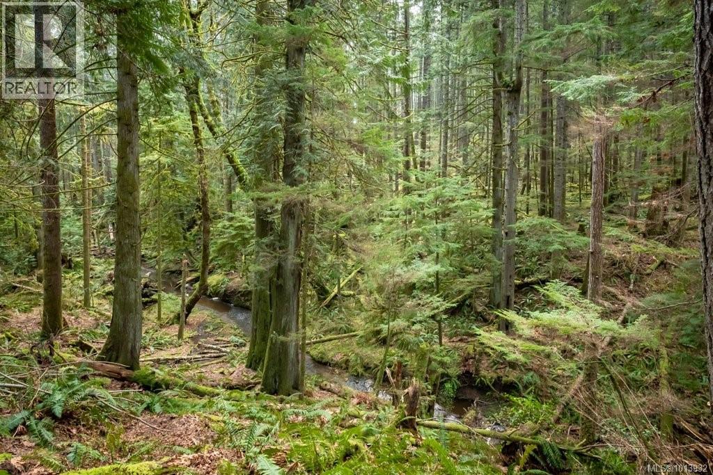 9000 Rayelyn Lane, Denman Island