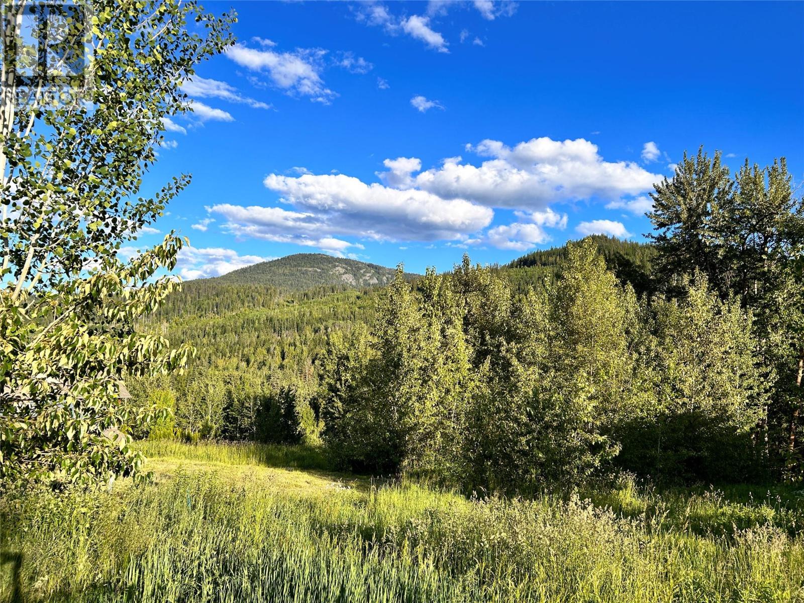 917 Redstone Drive, Rossland