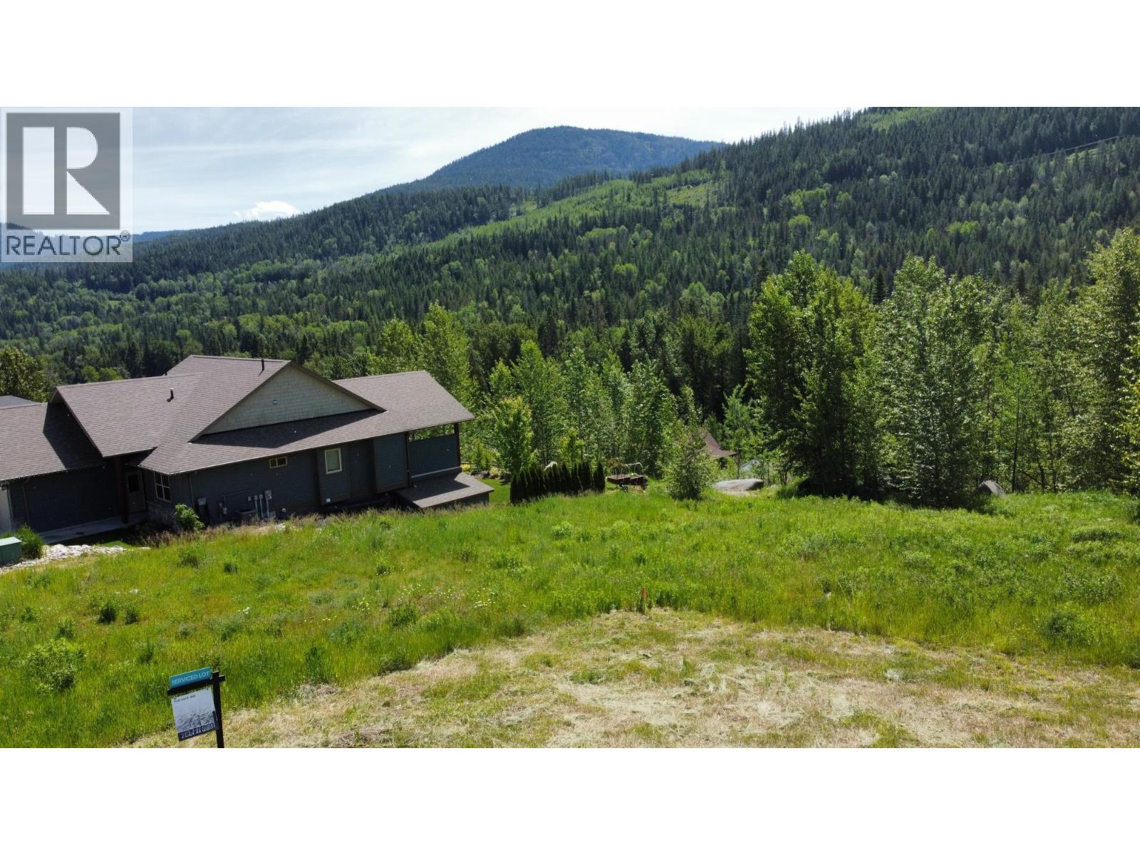 919 REDSTONE Drive, Rossland