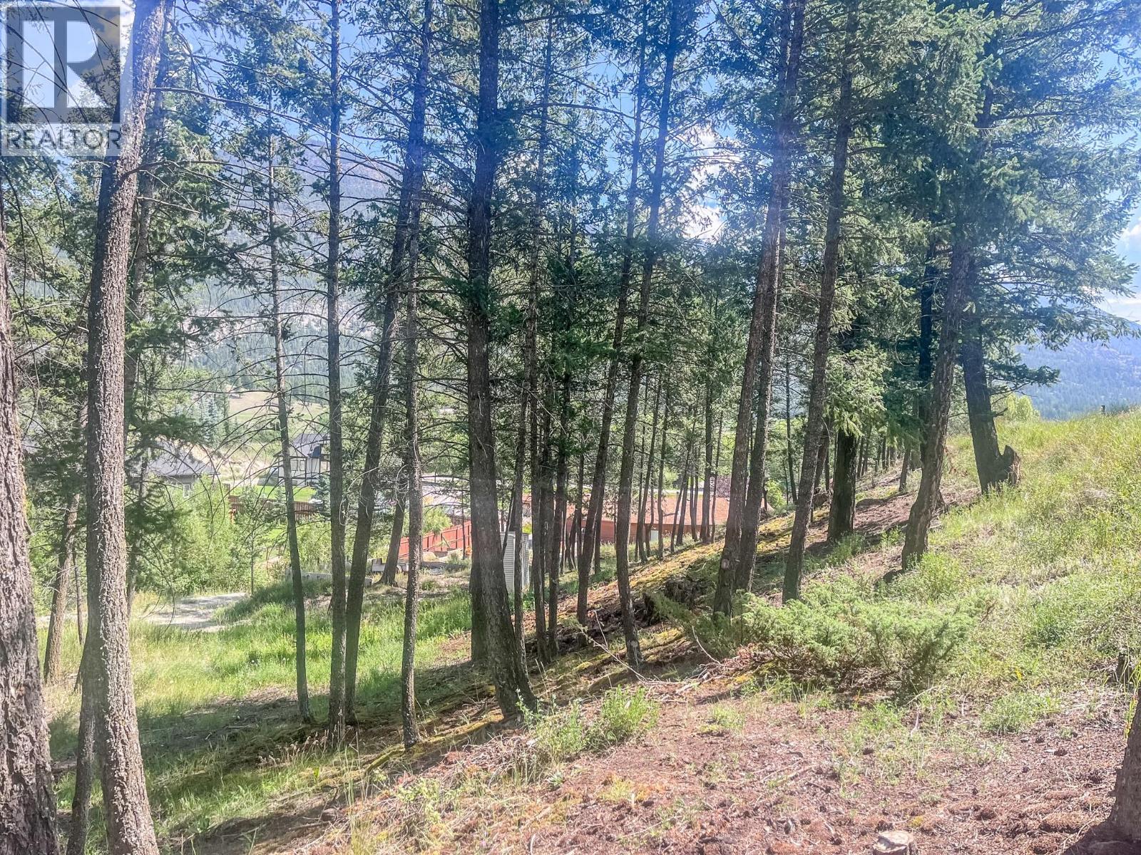 1049 Swansea Road, Invermere