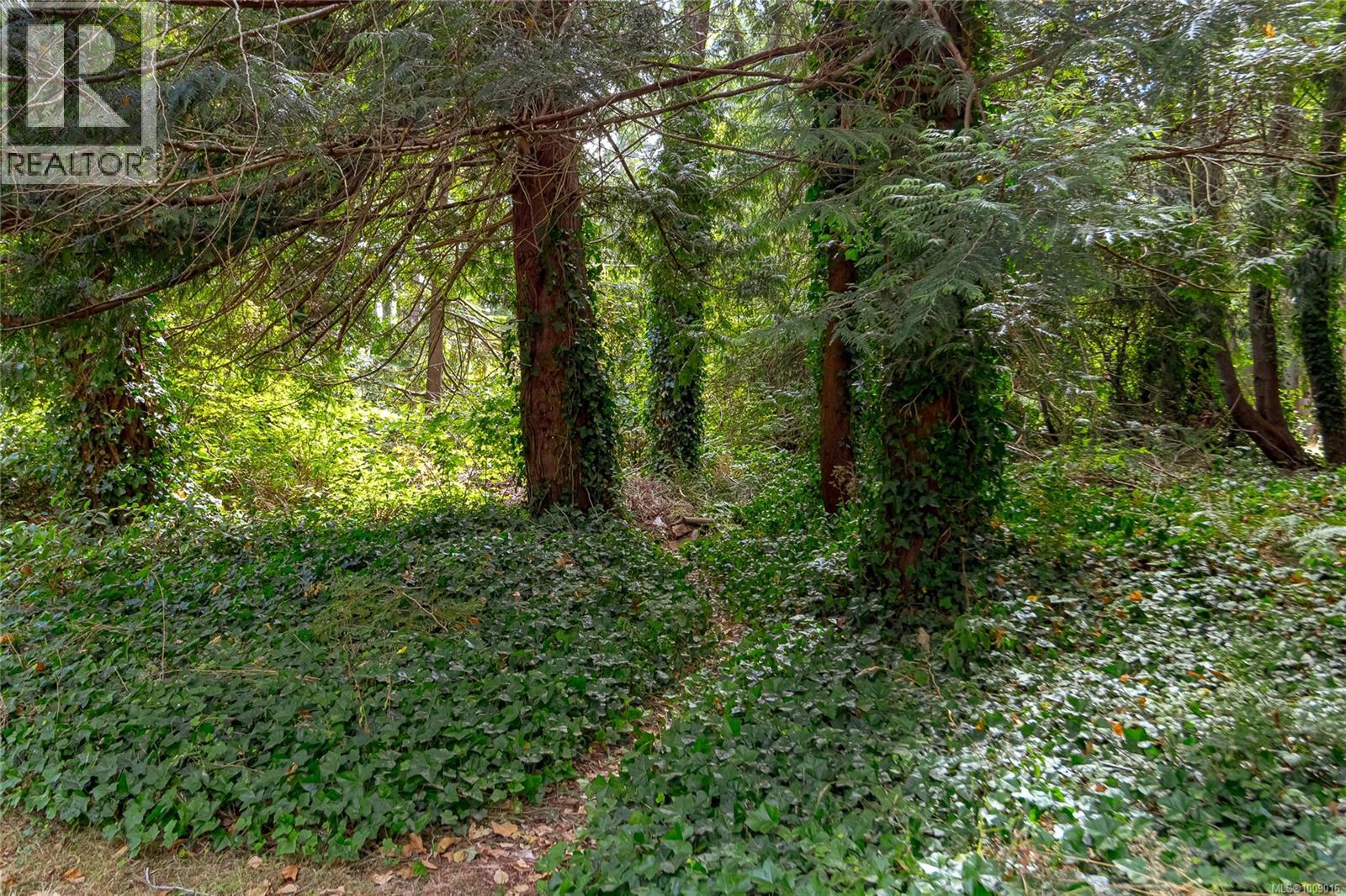 6368 Island Hwy W, Qualicum Beach