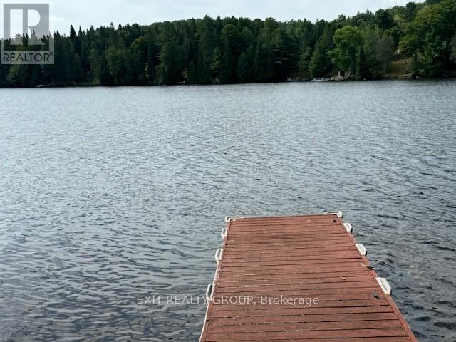 5420 CENTENNIAL LAKE ROAD - 10