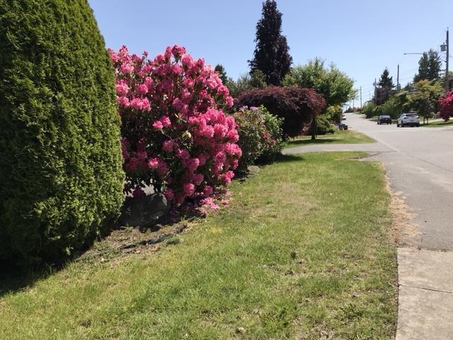 1388 LEE STREET, White Rock