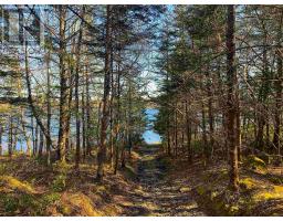 Lot Lake Edward, Lake Annis, NS B5A5L7 Photo 14