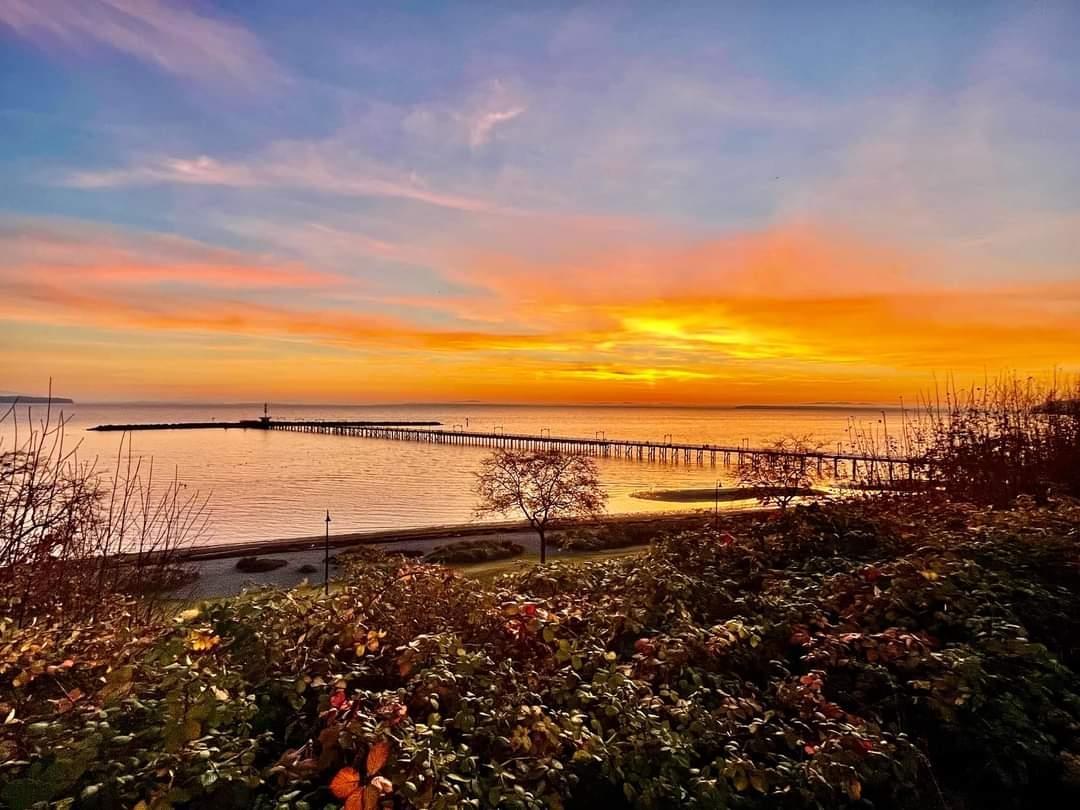 1483 MERKLIN STREET, White Rock