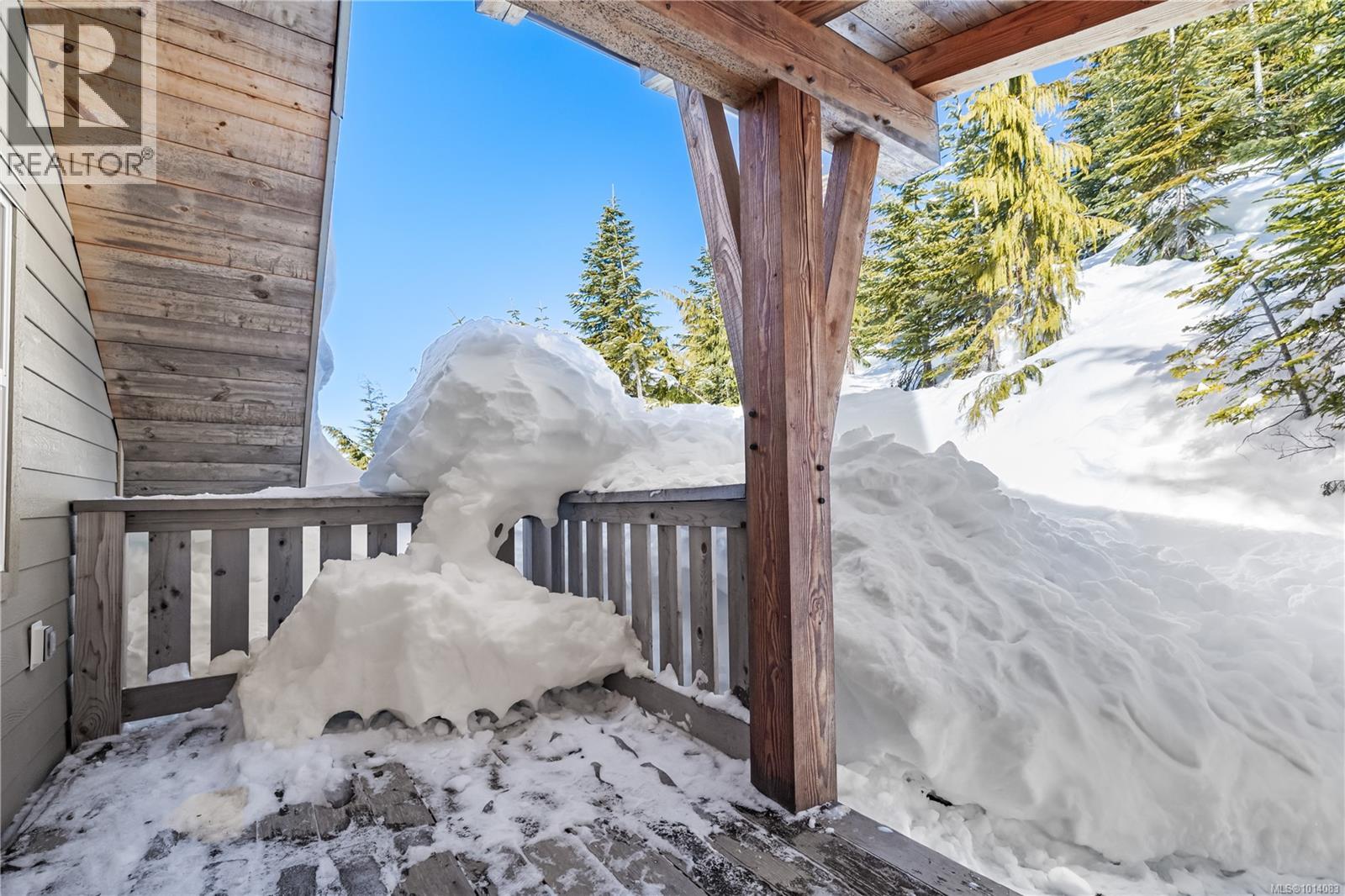 1000 Cruikshank Ridge, Courtenay