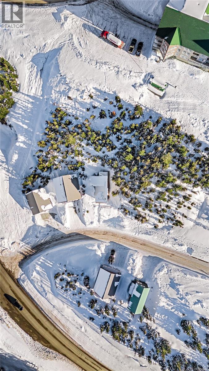 1000 Cruikshank Ridge, Courtenay