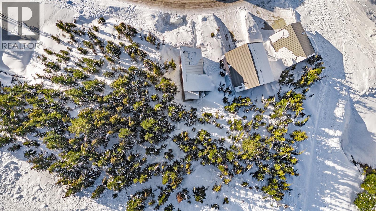 1000 Cruikshank Ridge, Courtenay