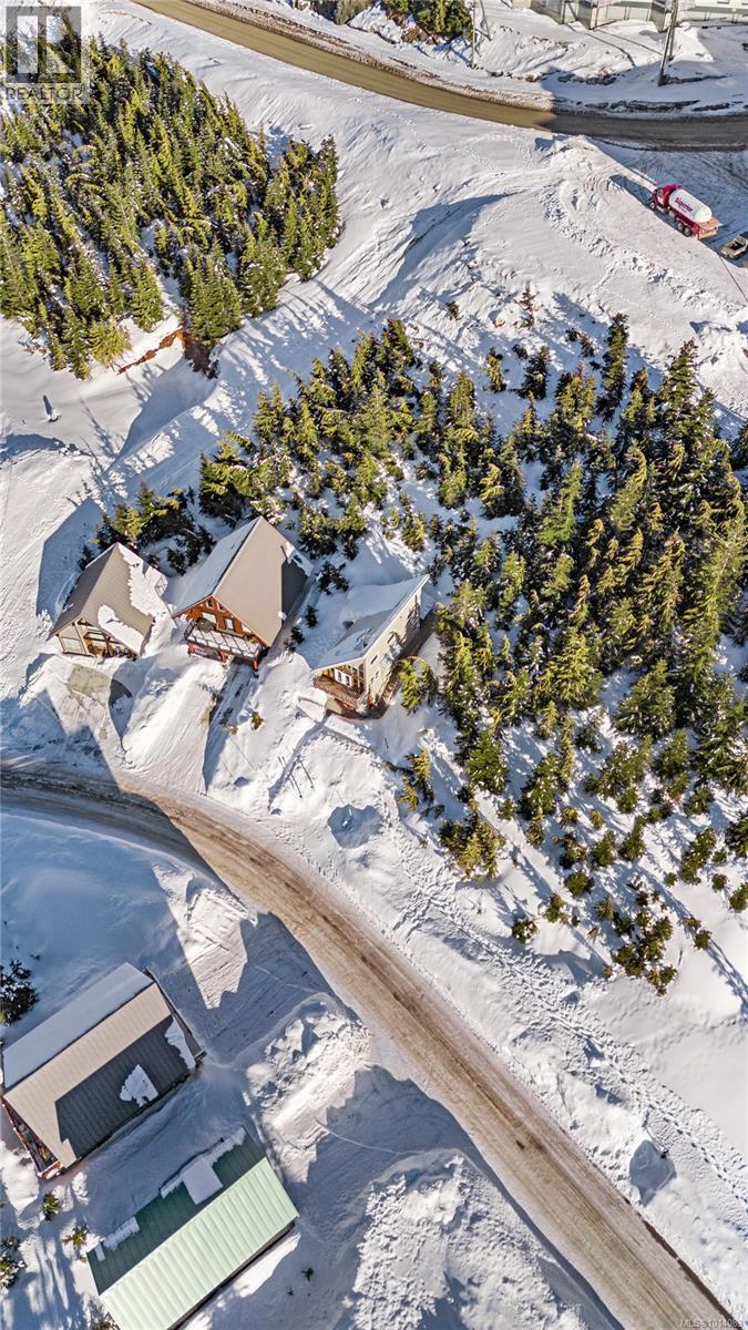 1000 Cruikshank Ridge, Courtenay