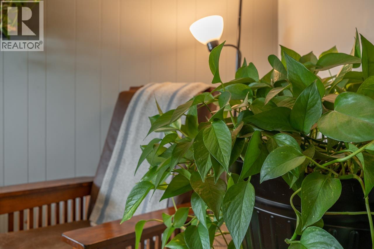 260 DOGWOOD AVENUE - 6