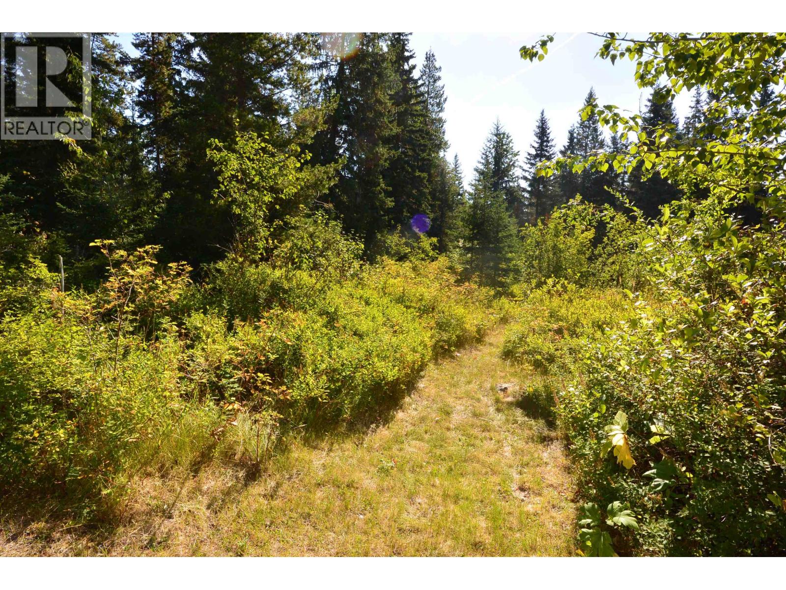 28062 WALCOTT QUICK ROAD, Telkwa
