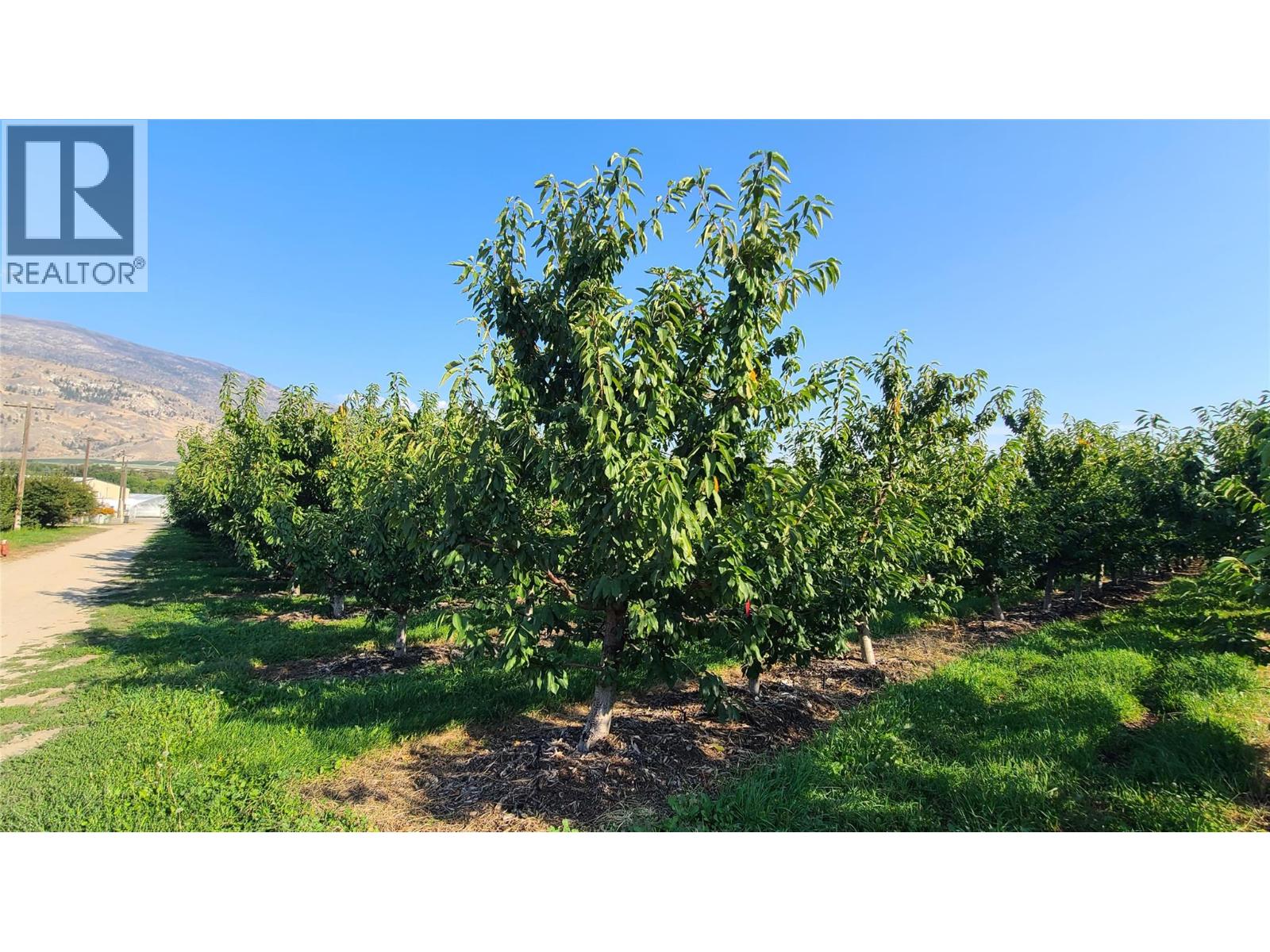  7298 97 Highway, Oliver