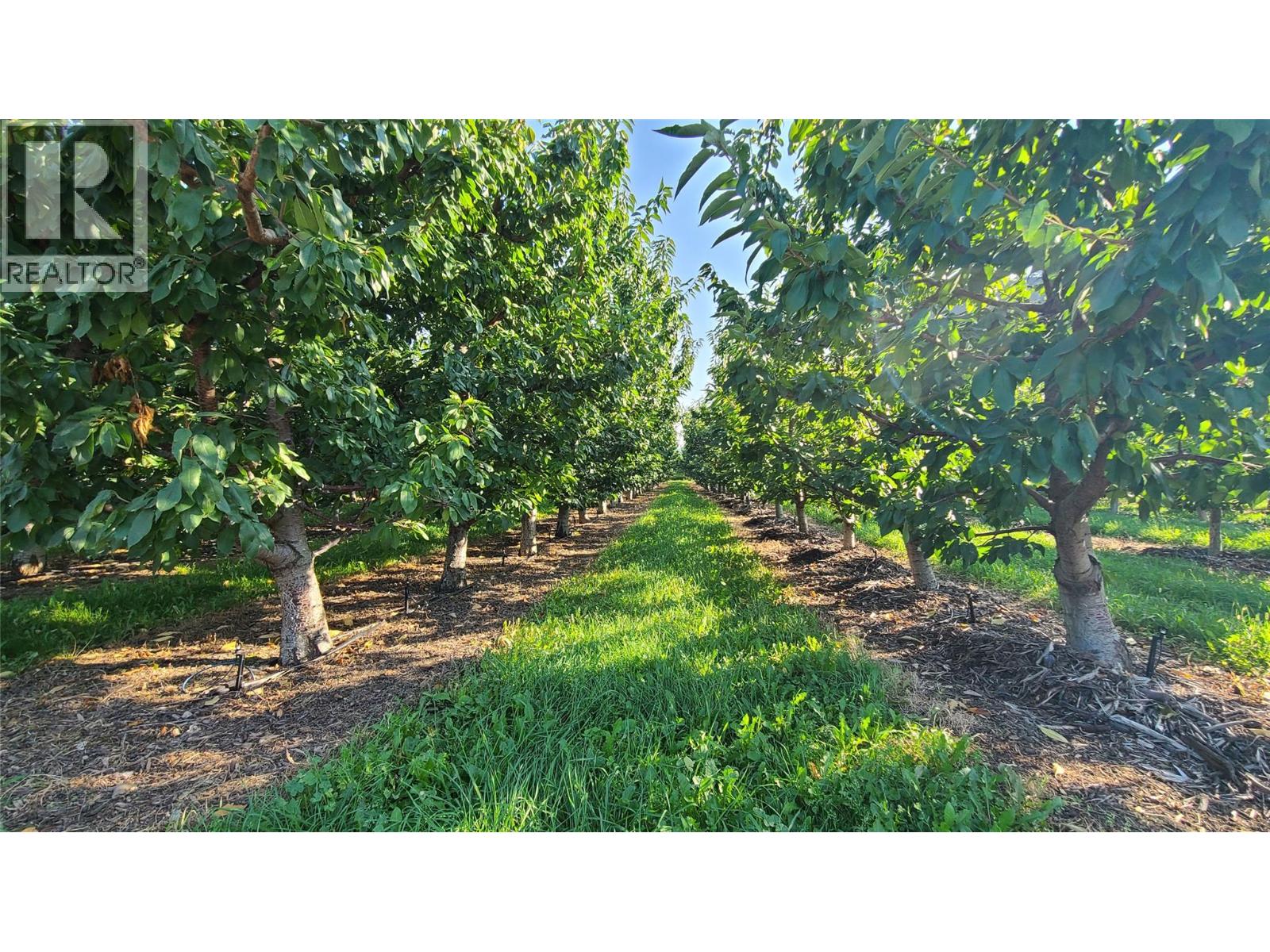  7298 97 Highway, Oliver